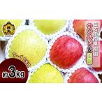 ふるさと納税 りんご 秋田県 鹿角市 由右衛門果樹園 りんご サンふじ & 王林 約3kg ( 7〜11玉 ) 由右衛門果樹園 食感 果汁 リンゴ 完熟 お中元 お歳暮 贈…