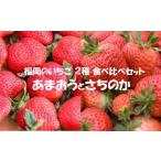 ふるさと納税 いちご 福岡県 福津市 2026年1月発送開始 いちご2種食べ比べセット「あまおう」「さちのか」各2パック計1,160g あんずの里 G0073