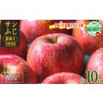 ふるさと納税 りんご 長野県 飯綱町 令和7年度収穫分先行予約品 りんご サンふじ 10Kg ( 24〜50玉 ) りんご ・ 梨 ランキング1位 訳あり ワケあり 果物 …