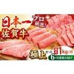 牛肉 ステーキ 全6回定期便 隔月発送 佐賀牛