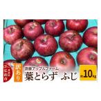 ふるさと納税 りんご 青森県 弘前市 25年12月発送 りんご 訳あり 家庭用 葉とらず ふじ 約10kg