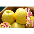 ふるさと納税 りんご 岩手県 陸前高田市 先行予約 清水農園 フレッシュ りんご 「シナノゴールド」 約3kg リンゴ 林檎 果物 フルーツ 期間限定 2025年10月頃か…