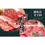 牛肉 ステーキ 頒布会 2回お届け 阿波黒牛