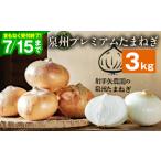 ふるさと納税 野菜類 玉ねぎ 大阪府 泉佐野市 射手矢さんちの泉州プレミアムたまねぎ 3kg 玉ねぎ タマネギ 玉葱 甘い 野菜 国産 期間限定 オニオン スライス …