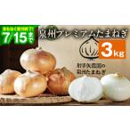 ふるさと納税 大阪府 泉佐野市 【先行予約／2024年5月以降発送】射手矢さんちの泉州プレミアムたまねぎ 3kg