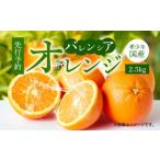 秀品 希少な バレンシア オレンジ 2.5kg