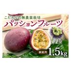 果物類 2027年 発送 こだわりの無農薬栽培