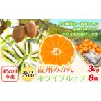 果物の詰合せ 温州みかん3kg+キウイフルーツ8個