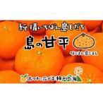 ショッピング甘平 ふるさと納税 みかん・柑橘類 愛媛県 松山市  2026年2月中旬から発送予定 希望の島 甘平(かんぺい) 家庭用 約3kg 愛媛 中島産 おすすめ人気 愛媛県産 みかん …