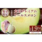 メロン メロン青肉 大玉 プレミアムアールスメロン