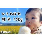 ふるさと納税 米 ひと