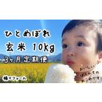 ふるさと納税 玄米 岩