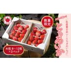 ふるさと納税 いちご 栃木県 さくら市 いちご 甘さ際立つ新品種 『とちあいか』 大粒 8〜12粒×2パック 先行予約 58ロハスファーム 58ロハスクラブ ｜いちご …