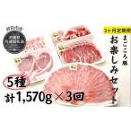 豚肉 セット 3ヶ月定期便 まごころ豚 1570g×3回
