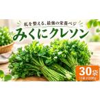野菜類 クレソン 100g
