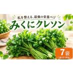 野菜類 クレソン 100g