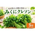 野菜類 クレソン 100g