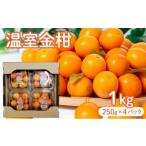 みかん 柑橘類 2026年発送 温室金柑1kg 1箱