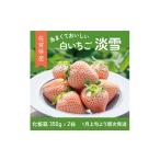 先行受付開始 希少価値 いちご 淡雪 化粧箱×2箱
