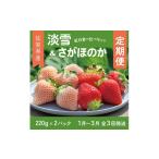 いちご 先行受付開始 定期便3回 紅白いちご