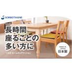 ソルボセイン ソルボ ホームチェアクッション