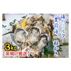 ふるさと納税 牡蠣 生牡蠣 福岡県 行橋市 AG-004 年明け発送 海のミルク・豊前海一粒かき（3ｋg）