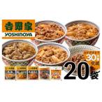 ふるさと納税 牛肉 セット 新潟県 十日町市 吉野家 人気５種２０袋バラエティセット 冷凍