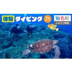 スポーツ アウトドア 体験ダイビング2本コース
