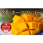 ショッピングふるさと納税 マンゴー ふるさと納税 マンゴー 沖縄県 与那原町  2026年8月から順次発送・贈答用 JAおきなわ厳選 幻のキーツマンゴー約2kg(2〜3玉) 1390927