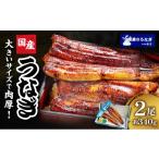 うなぎ 蒲焼 2尾