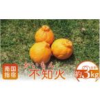 ふるさと納税 みかん・柑橘類 デコポン 鹿児島県 指宿市  2026年 発送 かいもん不知火 約3kg(迫田果樹園／010-211) しらぬい みかん フルーツ 柑橘 旬 果物 い…