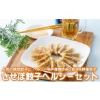 E179p 〈させぼ餃子研究所〉させぼ餃子ヘルシーセット