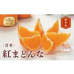 ふるさと納税 みかん・柑橘類 愛媛県 伊予市 みかん 愛媛 紅まどんな 約3kg L〜3L(青秀) 2025年12月から順次発送予定 人気 数量限定 先行予約 柑橘 JA正規品…