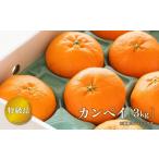 ふるさと納税 みかん・柑橘類 愛媛県 松山市  2026年2月上旬より順次発送 特級品 カンペイ 甘平 3kg | 高級 柑橘 みかん 柑橘 果物 フルーツ 松山市 愛媛県