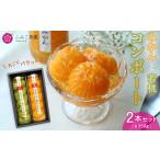 菓子 ゼリー コンポート 2本セット