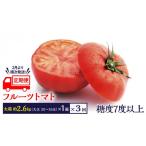 全3回 定期便 フルーツトマト 大箱 約2.6kg