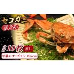 ふるさと納税 カニ ずわいガニ 鳥取県 日吉津村  蒸し 訳あり足折れご自宅用　日本海産親ガニ（セコガ二） 10枚 訳あり かに カニ 親ガニ セコガニ ずわいがに…