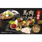 ふるさと納税 馬肉 熊本県 益城町 6種 馬肉 バラエティ 約540g タレ付き 馬刺し 食べ比べ