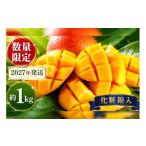 マンゴー 2027年発送 アップルマンゴー約1kg