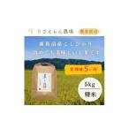 米 コシヒカリ 南 定期便5回×5kg 南魚沼産コシヒカリ