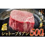 氷見牛 シャトーブリアン 500g