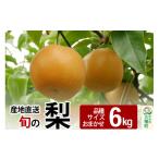 ふるさと納税 梨 秋田県 三種町 《先行受付》今が旬 梨 6kg 品種、サイズおまかせ 産地直送 和梨