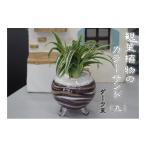 花 苗木 カラーサンド ガラス花器:丸 ダーク系