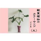 花 苗木 カラーサンド ガラス花器:大 ピンク系