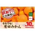 ふるさと納税 果物類 みかん 和歌山県 有田川町 訳あり それでも 有田みかん 箱込 10kg (内容量約 9.2kg) サイズミックス B品 有田みかん 和歌山県産 産地直送…