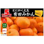 ふるさと納税 果物類 みかん 和歌山県 有田川町 みかん 大玉 どっこいしょ 箱込 5kg ( 内容量約 4.4kg ) 2Lサイズ以上 秀品 優品 混合 有田みかん 和歌山県産 …