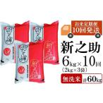 ふるさと納税 無洗米 