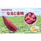 野菜類 サツマイモ 予約受付中 本場 ご 訳あり