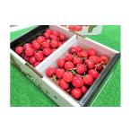 ふるさと納税 果物類 さくらんぼ 山形県 上山市 さくらんぼ(紅秀峰)1kg 特秀品 2Lサイズ 0096-2501
