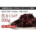 野菜類 きのこ 純 生きくらげ500g